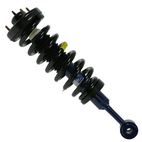 struts for 2007 ford f150