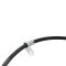 Brake Hose Pair