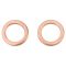 Front Performance Brake Hose Set