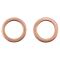 Front Performance Brake Hose Set