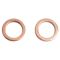 Front & Rear Performance Brake Hose Kit