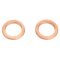 Brake Hose Pair