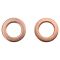Front & Rear Brake Hose Kit