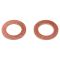 Front Replacement Brake Hose Set