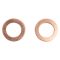 Rear Replacement Brake Hose Set
