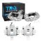 Brake Caliper Set