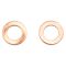 Brake Pad, Rotor, Caliper & Hose kit