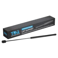 Back Glass Lift Support