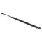 Liftgate Lift Support