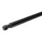 Liftgate Lift Support
