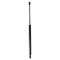 Liftgate Lift Support