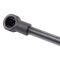 Liftgate Lift Support