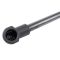 Liftgate Lift Support