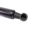 Liftgate Lift Support