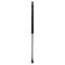 Liftgate Lift Support
