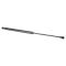 Liftgate Lift Support
