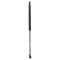 Liftgate Lift Support
