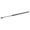 Liftgate Lift Support