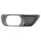 Fog Light Bezel