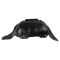 Quarter Panel Splash Shield