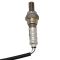 Oxygen Sensor Kit
