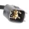 Oxygen Sensor Kit