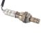 Oxygen Sensor Kit