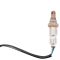 O2 Oxygen Sensor