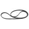 Serpentine Belt