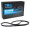 Serpentine Belt