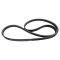 Serpentine Belt