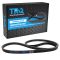 Serpentine Belt