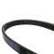 Serpentine Belt