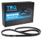 Serpentine Belt