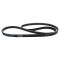 Serpentine Belt