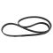 Serpentine Belt