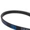 Serpentine Belt