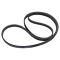 Serpentine Belt