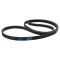 Serpentine Belt