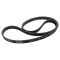 Serpentine Belt