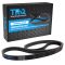 Serpentine Belt
