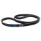 Serpentine Belt