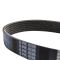 Serpentine Belt