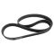 Serpentine Belt