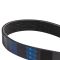 Serpentine Belt