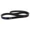Serpentine Belt