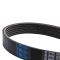 Serpentine Belt
