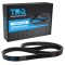 Serpentine Belt