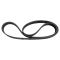 Serpentine Belt