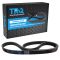 Serpentine Belt